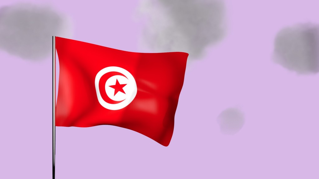 Animated Tunisian Flag preview image 1